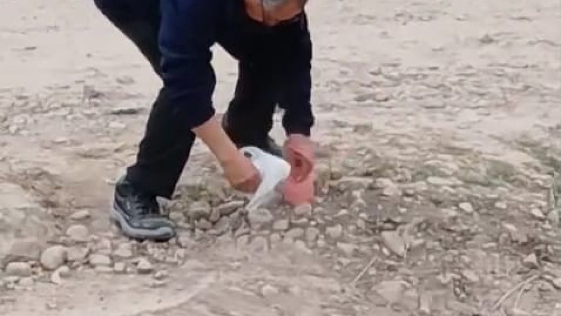 Vecinos y un chofer taparon baches en Palpal�: idignaci�n por el estado de las calles�