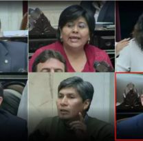 Quintar se graduó en obediencia: fue el único diputado jujeño que rechazó más fondos para universidades