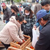 Productores regalan tomate en Plaza Belgrano por las bajas ventas