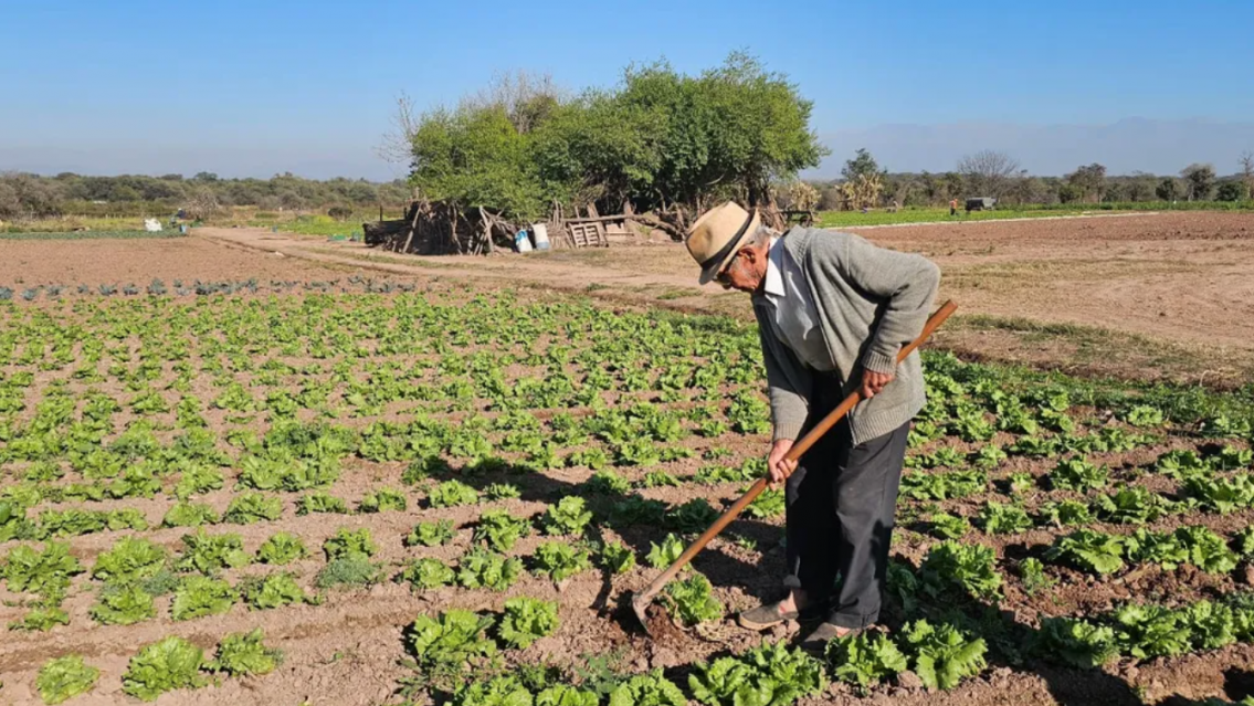 Productores jujeños al límite: denuncian pérdidas, altos costos y falta de apoyo