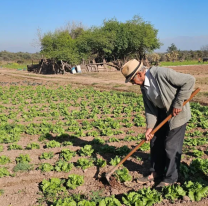 Productores jujeños al límite: denuncian pérdidas, altos costos y falta de apoyo