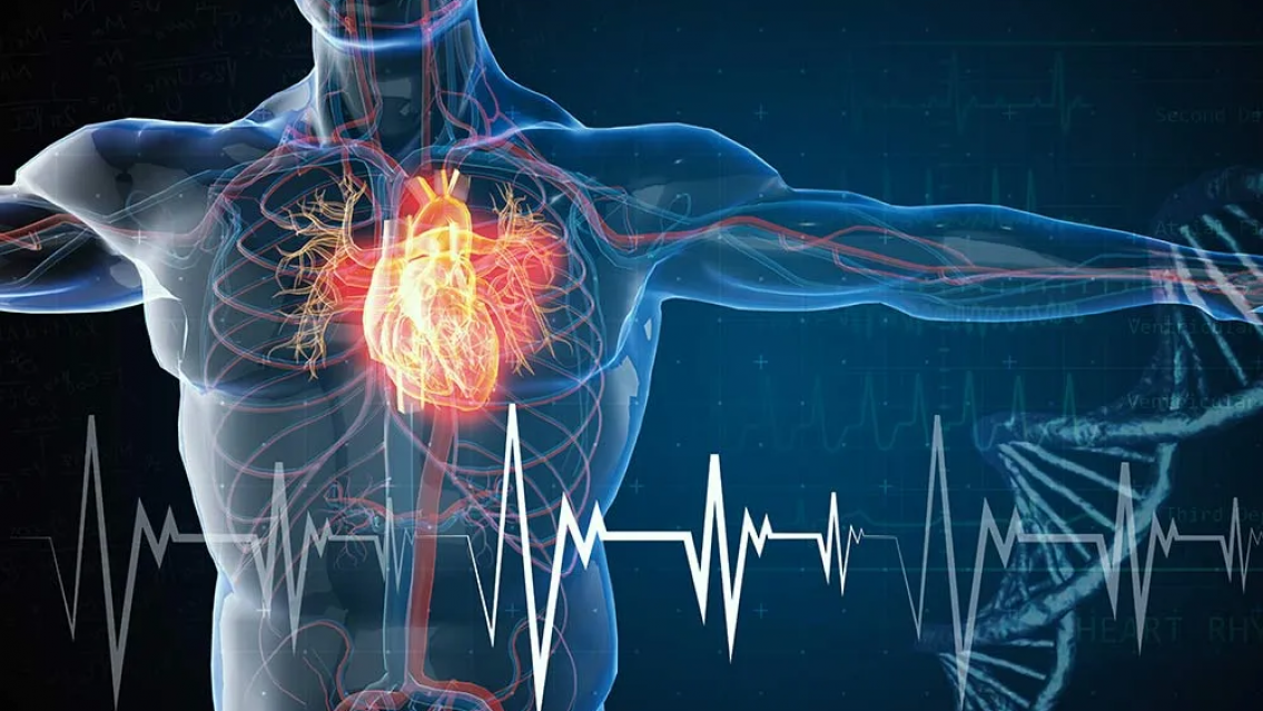 Hay m�s de 40 mil muertes s�bitas al a�o, instan a aprender a hacer RCP