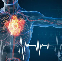 Hay más de 40 mil muertes súbitas al año, instan a aprender a hacer RCP