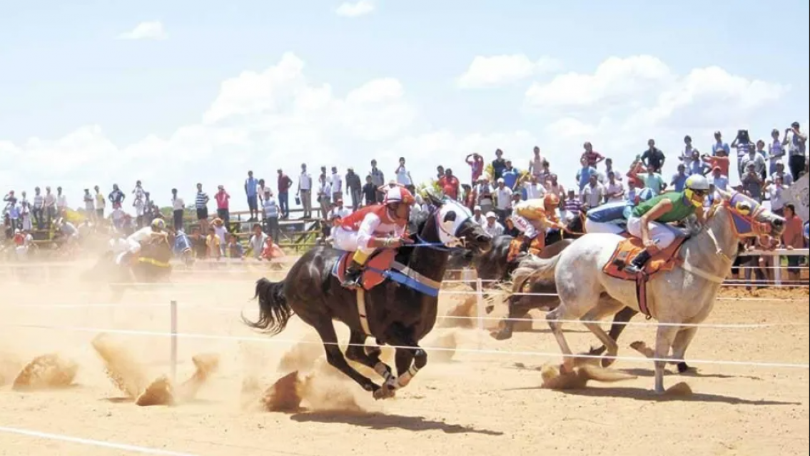Muri� una norte�a tras ser embestida en una carrera de caballos