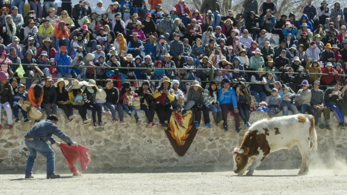 Casabindo honra a la Virgen de la Asunci�n con el singular Toreo de la Vincha