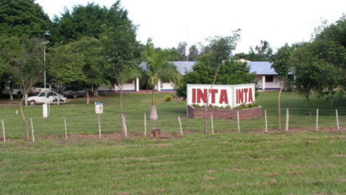 Milei avanzó con la motosierra en el INTA a pesar del reves en dipuatdos