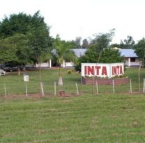 Milei avanz&oacute; con la motosierra en el INTA a pesar del reves en dipuatdos