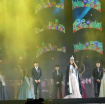 FNE 2025: personas con discapacidad tendrán acceso gratuito a la Elección Nacional