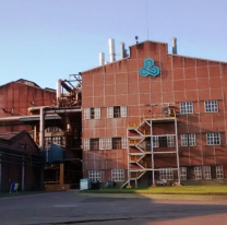 Ledesma en su peor momento: reportan pérdidas millonarias y desplome en ventas