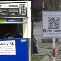 Denuncian que la Muni de San Salvador oculta datos de Tasa Vial y Vía Parking