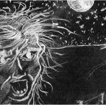 Apareció "Umita", la cara paranormal que asusta a todo el norte: "Llora a gritos"