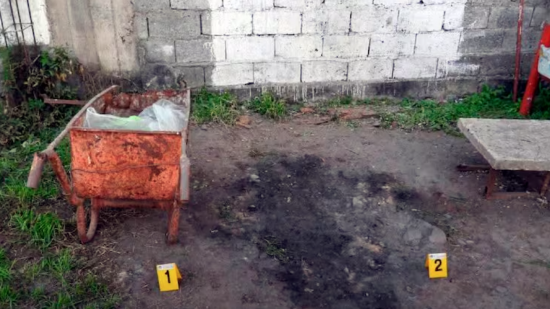 Presunto asesino serial de Jujuy: cómo los insectos revelarían el tiempo de los asesinatos