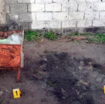 Presunto asesino serial de Jujuy: cómo los insectos revelarían el tiempo de los asesinatos