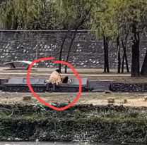 Parejita fue atrapada en el Xibi Xibi: "muy apasionados"