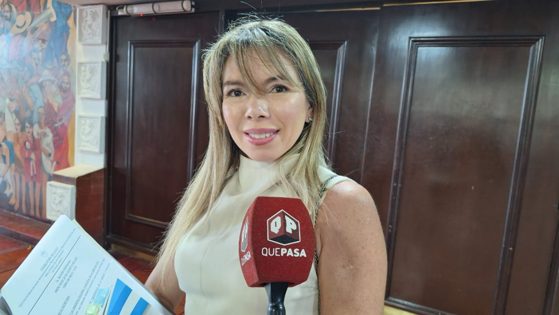 "Tendr�amos que sesionar todas las semanas": diputada cuestion� a sus pares y a la c�mara