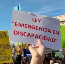 DISCAPACIDAD: Diputados rechazó el veto del presidente Milei