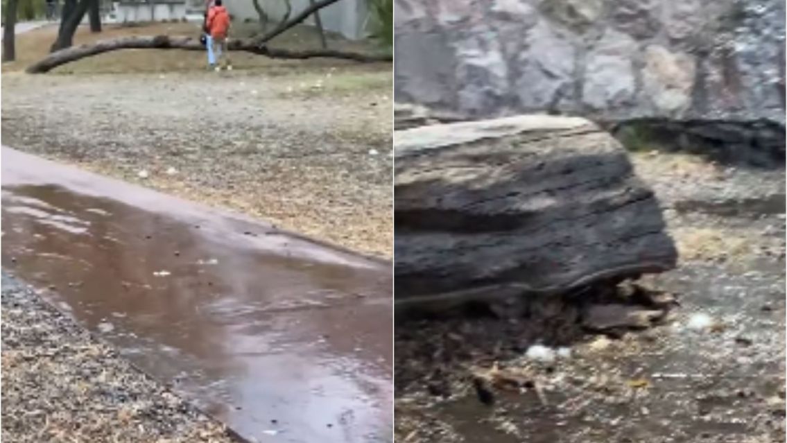 ¿Qué está pasando en el Parque Lineal?