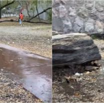 ¿Qué está pasando en el Parque Lineal?