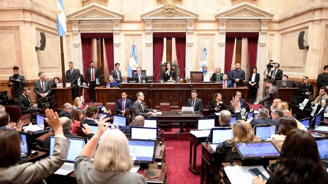 El Senado debate aumentos para el Garrahan y universidades en una sesión clave