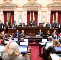 El Senado debate aumentos para el Garrahan y universidades en una sesión clave