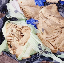 Norteña embarazada comió milanesa adulterada con papel higiénico