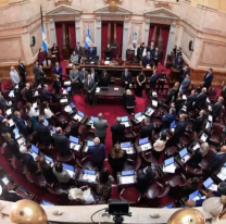 "A mí no me mueve la plata": duro cruce entre una mediática y un senador