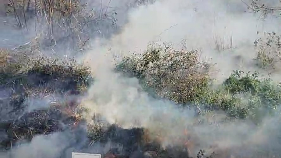 URGENTE: avanza el fuego cerca de la terminal