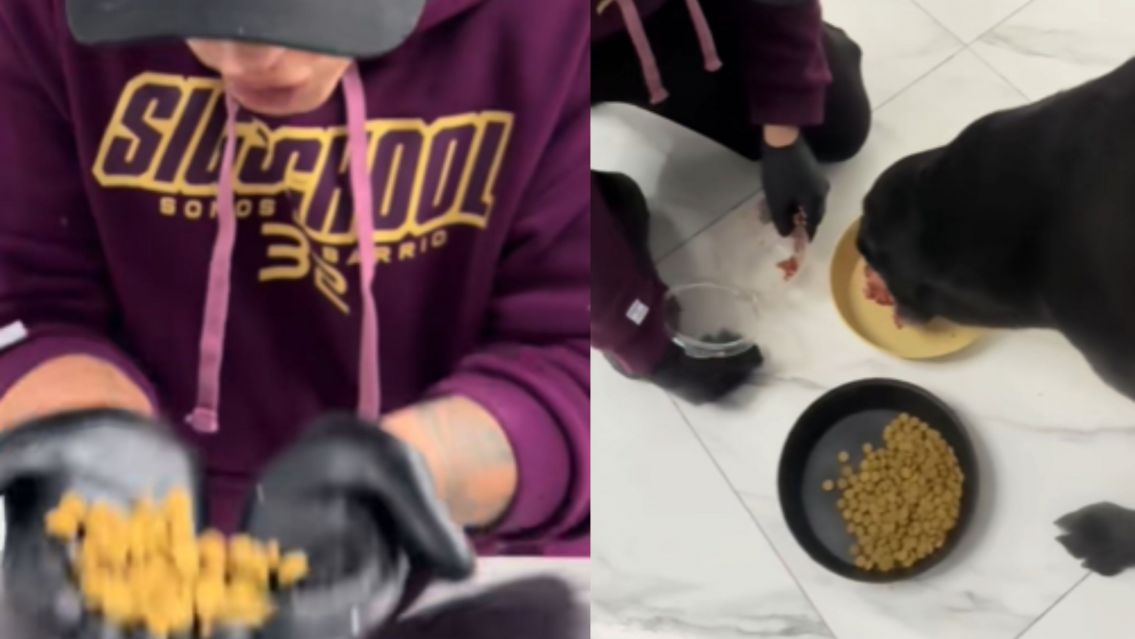 Carnicero se cansó del alimento balanceado y enseña a hacer comida 100% carne para perros