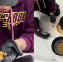 Carnicero se cansó del alimento balanceado y enseña a hacer comida 100% carne para perros