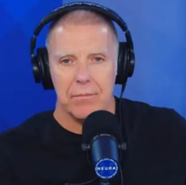 Fantino pide que "caiga en cana quien tenga que caer" y marca distancia del Gobierno de Milei