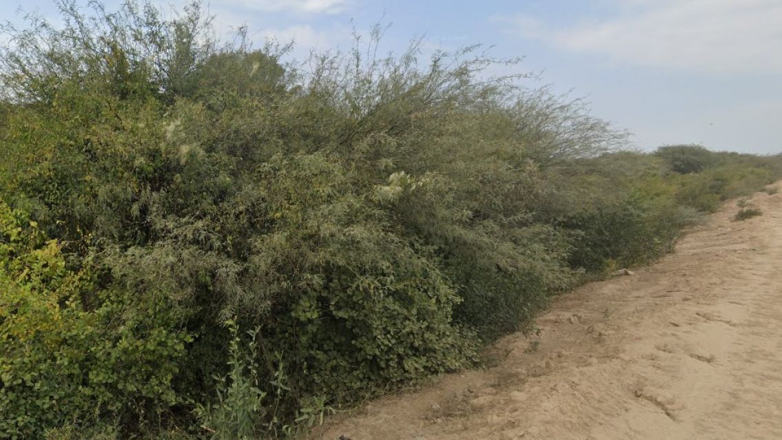 Así encontraron al salteñito que llevaba días perdido en el monte: "Tiene un..."