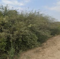Así encontraron al salteñito que llevaba días perdido en el monte: "Tiene un..."