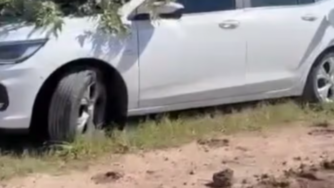 Macabro hallazgo: una pareja fue encontrada muerta dentro de un auto