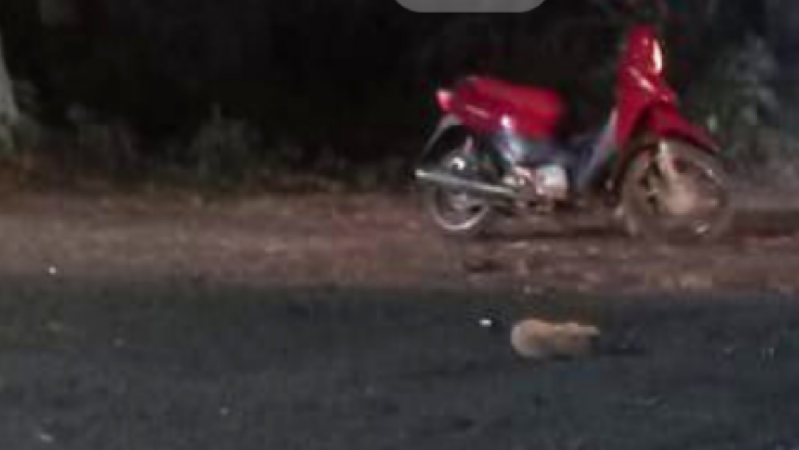 FOTO:: MARINA TORRES