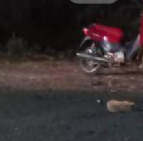 Dos personas perdieron el control de sus motos y murieron en ruta 5