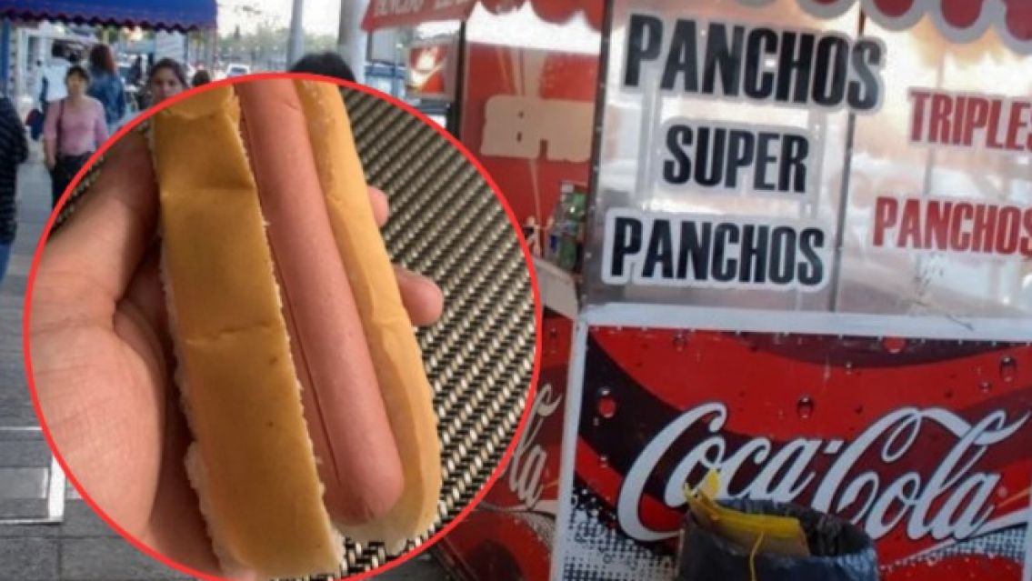 Chau a los panchos: el informe de la OMS que alertó a todos por una grave enfermedad