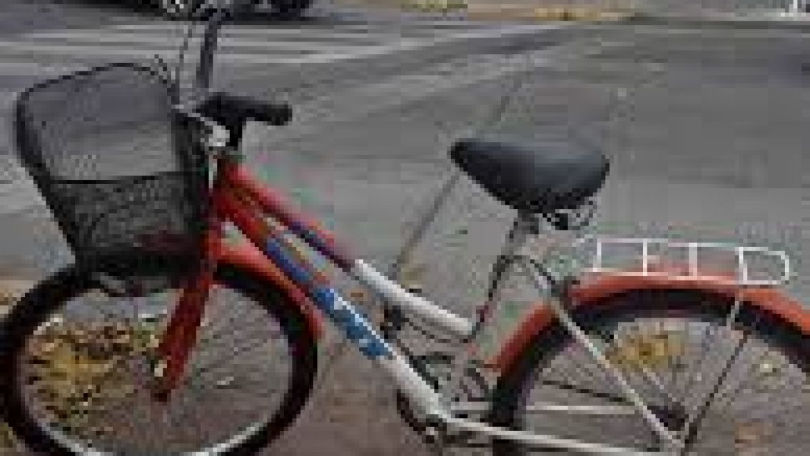 Crece el malestar por la ordenanza que busca registrar y cobrar a las bicicletas eléctricas