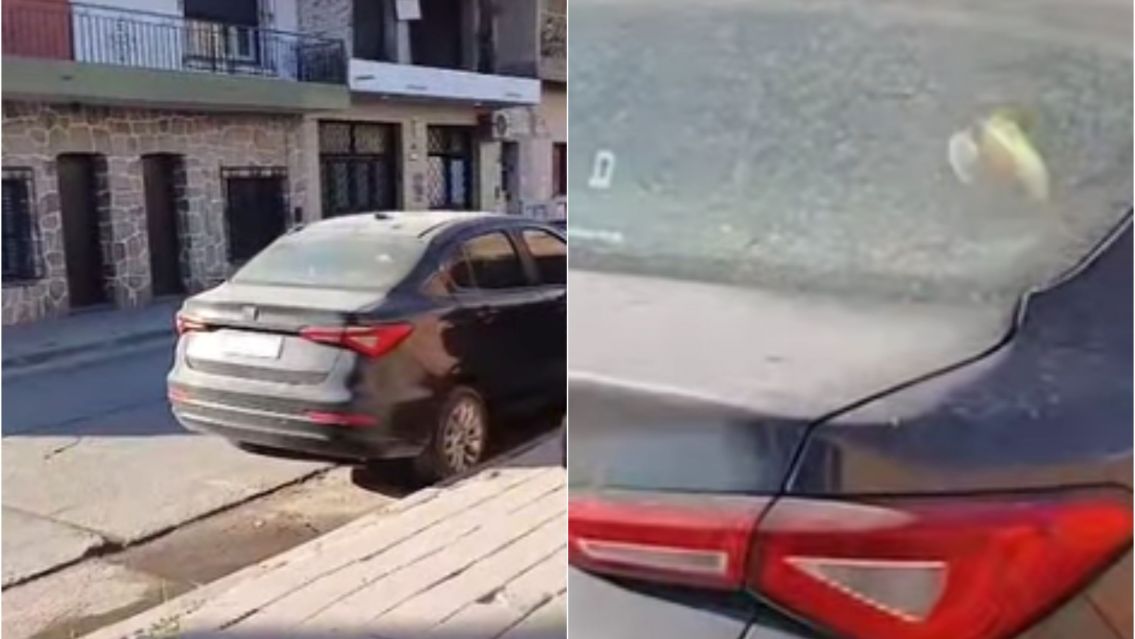 Tucán encerrado en un auto en Jujuy genera indignación