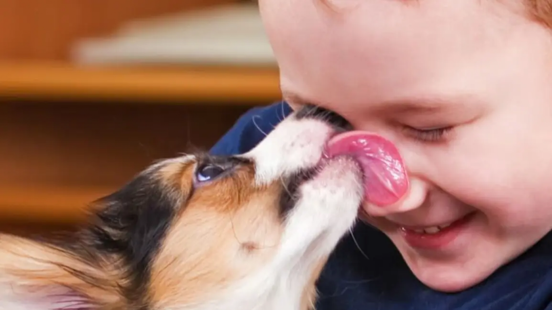 Ojo con esto: la enfermedad parasitaria silenciosa que est� a full en Jujuy
