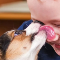 Ojo con esto: la enfermedad parasitaria silenciosa que está a full en Jujuy