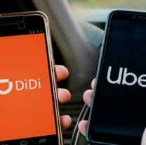 ¿Ubber y Didi libres en Jujuy?: lo que dijo un concejal sobre las apps de transporte