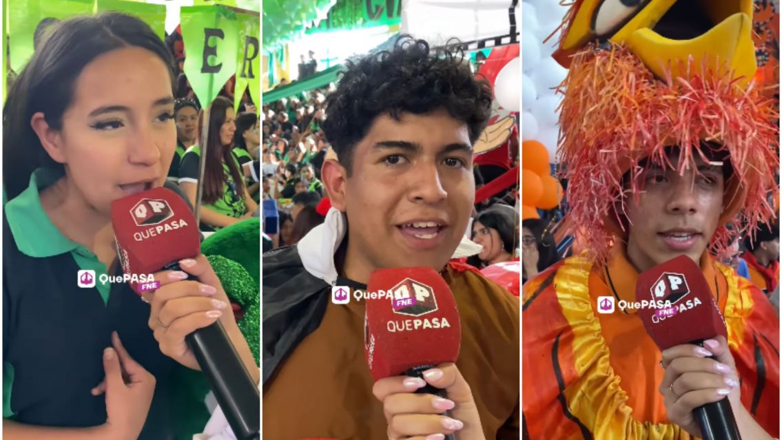 �Qu� significa la mascota de tu colegio?