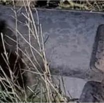 Murió un reconocido productor ganadero tras chocar contra un camión en la ruta