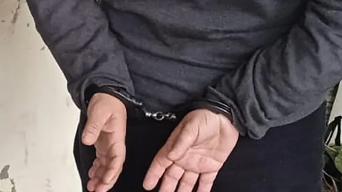 Horror en Jujuy: con una hoja de afeitar hizo aberraciones a su perrita con crías