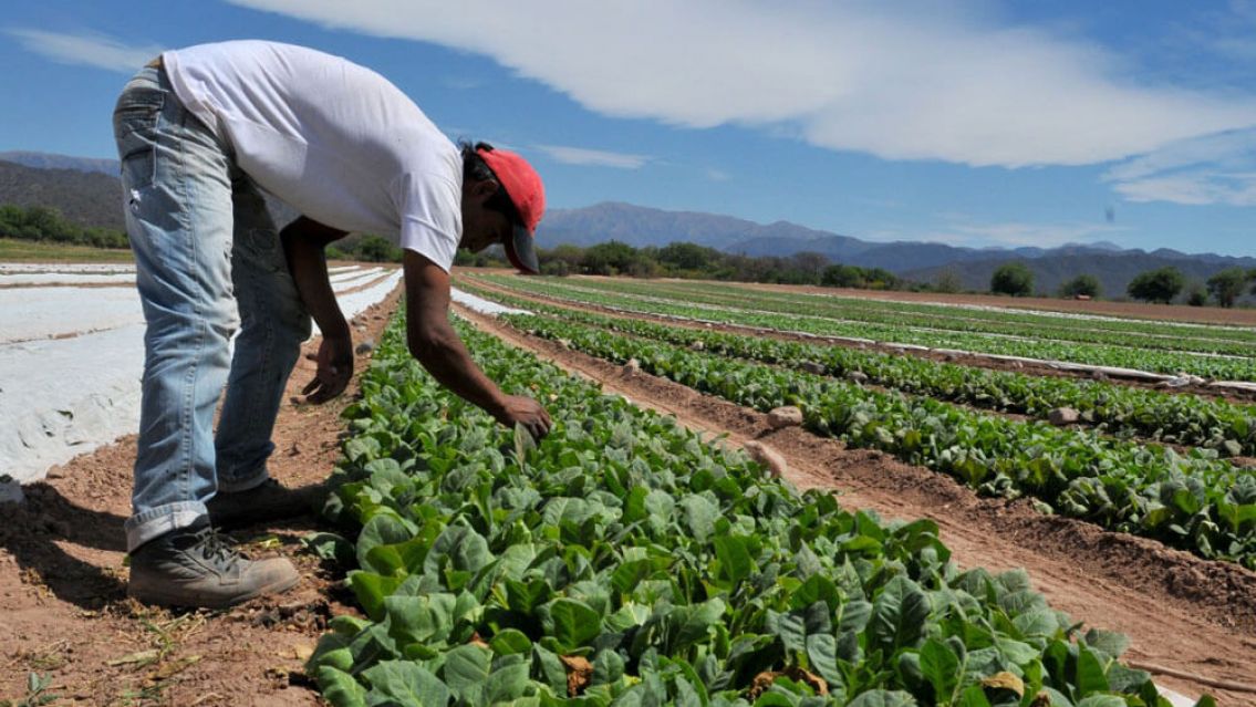 Un alivio financiero para productores jujeños