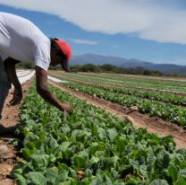 Un alivio financiero para productores jujeños