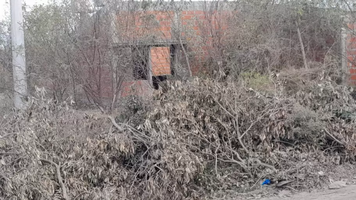 70 viviendas abandonadas en Palpal�: obras paralizadas