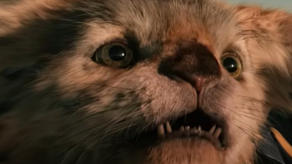 �El chupacabras en Salta?: encontraron varias ovejas y vacas muertas en el campo