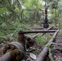 "Es mucho el daño que hicieron": celebran el freno a la explotación petrolera en Calilegua