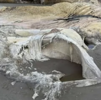 Mucho miedo: encontraron un cadáver al costado del agua